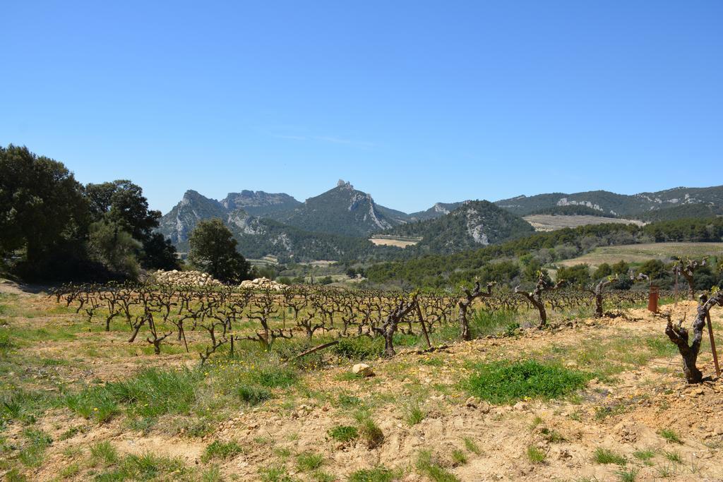 Mas De Carabelle Bed & Breakfast La Roque-Alric Exterior photo