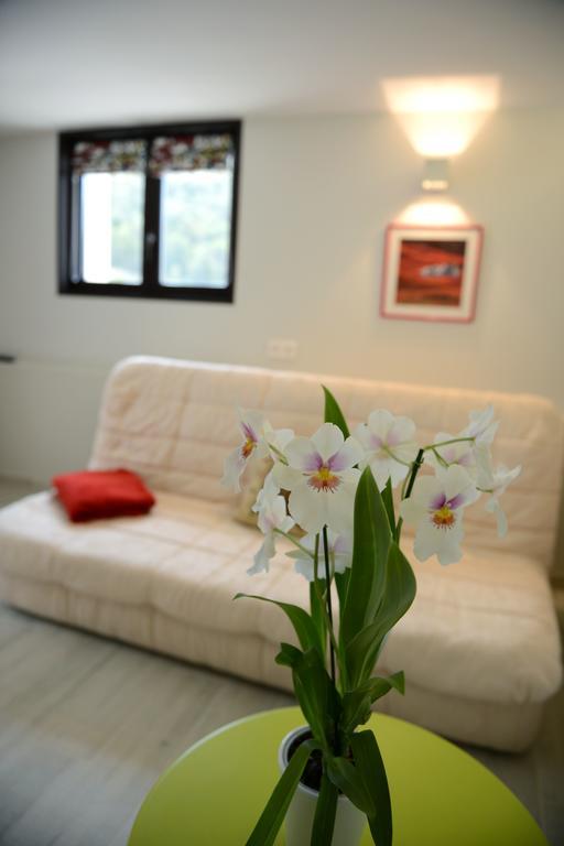 Mas De Carabelle Bed & Breakfast La Roque-Alric Room photo
