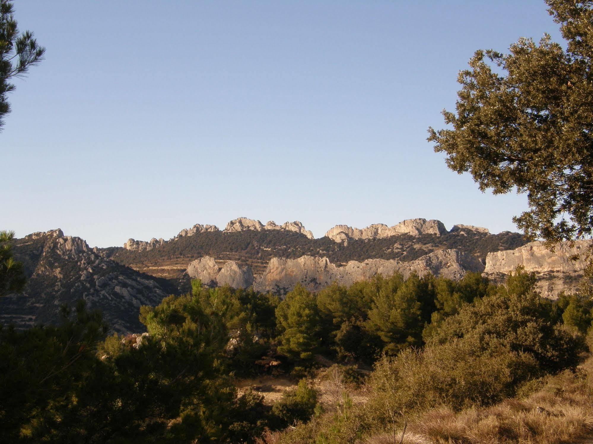 Mas De Carabelle Bed & Breakfast La Roque-Alric Exterior photo